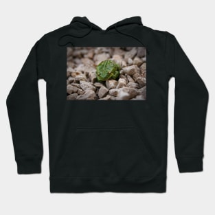 little green frog Hoodie